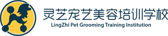 泰尚黃